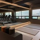 피트니스공 이미지