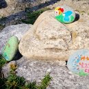 바다숲 민박 이미지