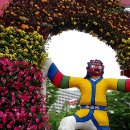 바니호프 이미지