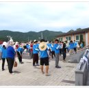박사골권역 Daum카페