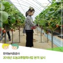 대구입석초등학교 | KRC, 2018년 도농교류협력사업 본격 실시