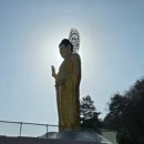 보은로또