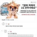 인천국제공항대우바로코너 | how to “hello tokyo”