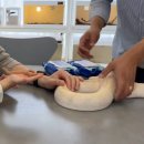 건이네 파충류 | 울산 아이랑 가볼만한 곳ㅣ파충류 좋아하는 5살 아들이 엄청 좋아한 건이네 파충류 &amp; 카페 후기