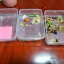 핏스토랑 이미지