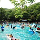 성주산자연휴양림 MBN