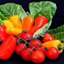 인식농장 이미지