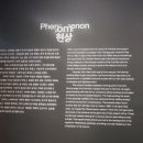 제주현대미술관 | [국립현대미술관 서울] 김창열 회고전 후기