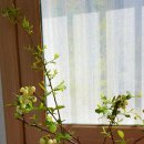 동우농장 이미지