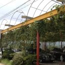 선진농원 이미지