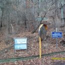 금당 최규용 다비 이미지