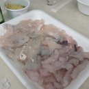 자연산약초세상사람들 | 강릉 사천진항 자연산수산물직판장 월광호 포장 후기