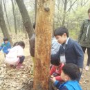 기흥삼성어린이집 이미지