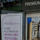 카페삼천