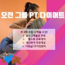 팀준핏