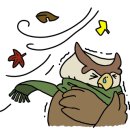 쿠잉풀빌라앤스파펜션 이미지