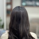 김영란헤어 | 포항 문덕 미용실 디메이크헤어 여자 중단발 레이어드컷 후기
