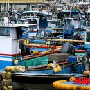 주문진항만 이미지