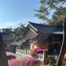 성불주차장 | 관악산의 비보사찰, 호압사에 다녀오다