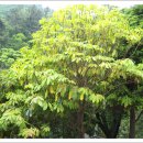 새벽항구 이미지