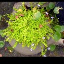 참샘농장 이미지