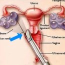 엠여성의원 이미지