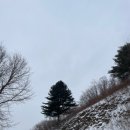 노다지목장 이미지