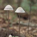 발현목장 이미지