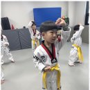 거룡태권도2관 이미지