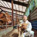 유라이크 이미지