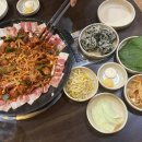 닭잡아도돼지 이미지