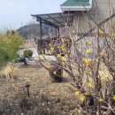 여기, 쉼 이미지