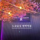 도쿄술집 평택역점 이미지