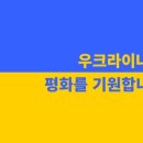 인제 블랙벨트센터 태권도장 이미지