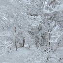 산들이야기