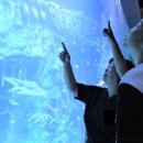 자양종합사회복지관 이미지