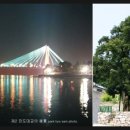 진도개인택시(박효삼) 이미지