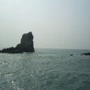 수영여 Daum카페