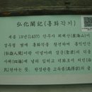 홍화각기 이미지