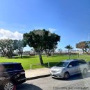 미주리헤어 | [미서부_1일차] 맨스 차이니스 극장, 할리우드 거리, 그리피스 천문대, 할리우드 사인, 베벌리 힐스...