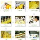 한성영농조합법인 이미지