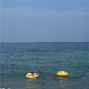 스테이사암 | [경북 영덕]“영덕 1박2일 여행 완벽코스｜전현무 맛집·강구항 숙소·물놀이까지 여름휴가 찐후기”