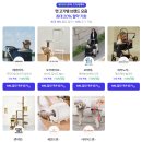 모래들푸드 | 네이버 펫 바우처 혜택 정리｜로마샌드 고양이 모래 할인받아 써본 후기