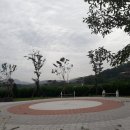 외포리소공원 네이버블로그