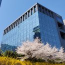 한국니토옵티칼 | 취준일기 7 디스코하이테크코리아 1차 탈락, 레이저텍, 히타치하이테크코리아, 한국니토옵티칼 최종 탈락