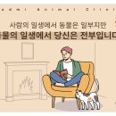 석적동물병원 네이버블로그