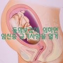 동의보감 근의거 건강풍수 이미지