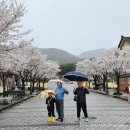 미정식당 | 청통cc 맛집 찾다가 발견한 찐맛집! 영천 은해사 밥집 미정식당 후기