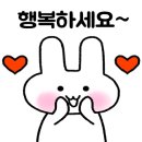 도그피아 애견 훈련 학교 이미지