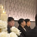 벌교사료 이미지